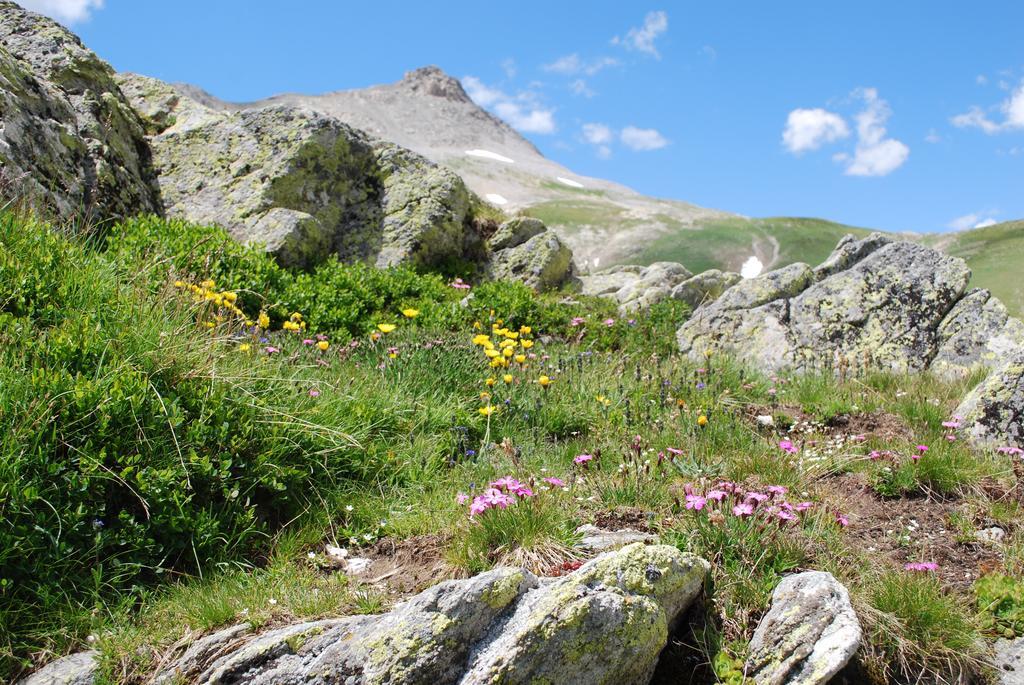 Le Clos Du Berger Le Sauze Buitenkant foto